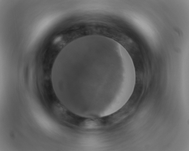 X0000113550526200910091306