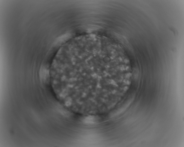 X0000113550527200910091306