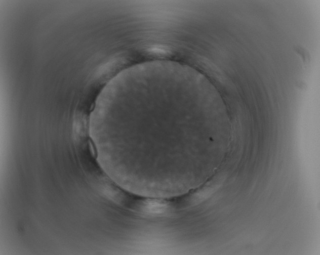 X0000113550528200910091306