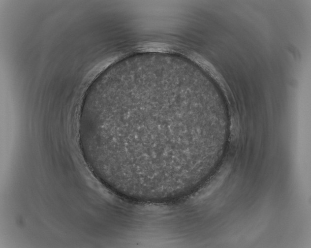 X0000113550529200910091306