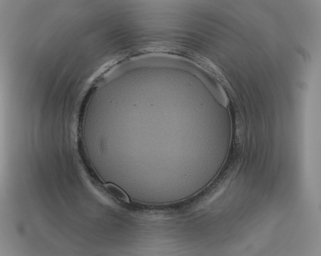 X0000113550530200910091306