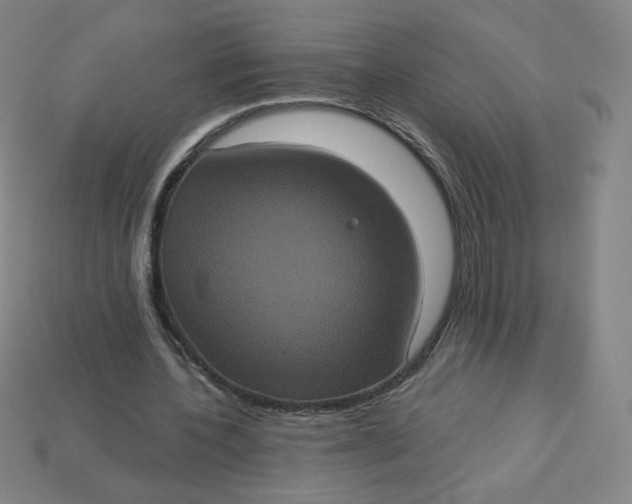 X0000113550532200910091306