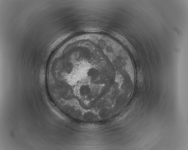 X0000113550533200910091306