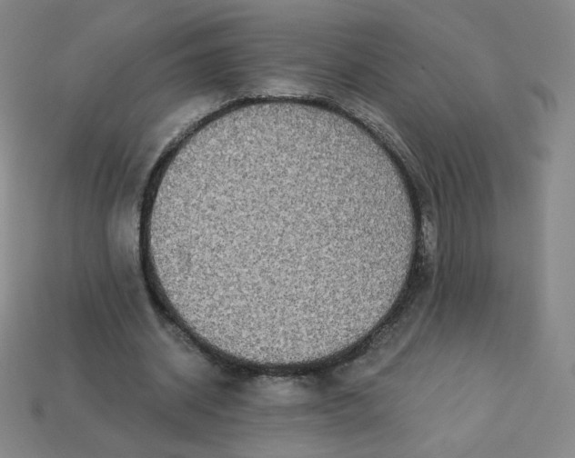 X0000113550534200910091306