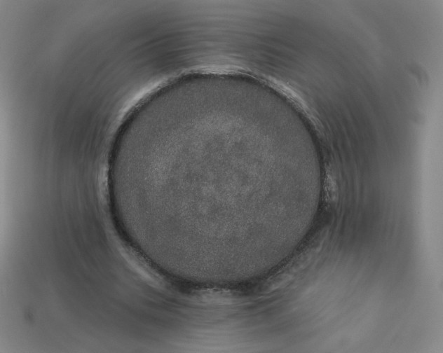 X0000113550535200910091306