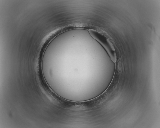 X0000113550536200910091306