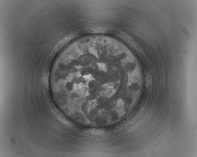 X0000113550537200910091306