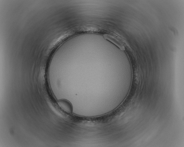 X0000113550538200910091306