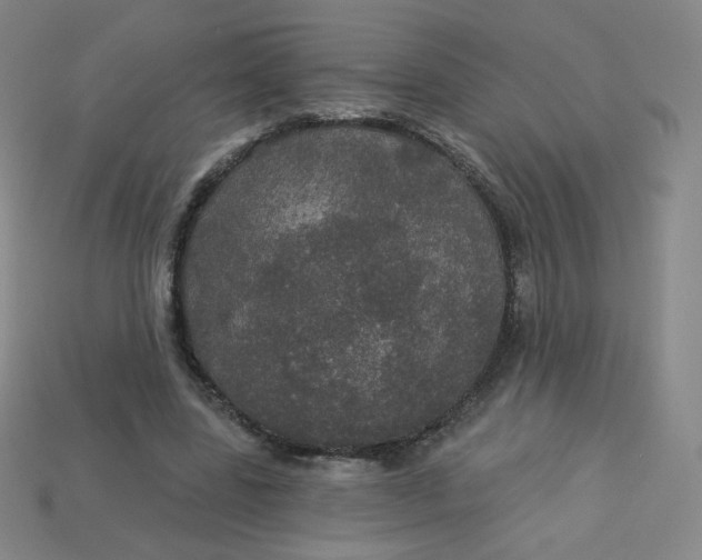 X0000113550539200910091306