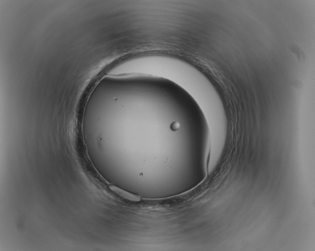 X0000113550540200910091306