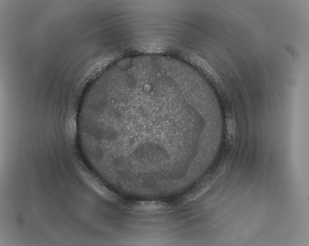 X0000113550541200910091306