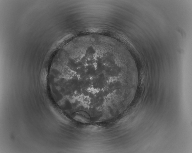 X0000113550542200910091306