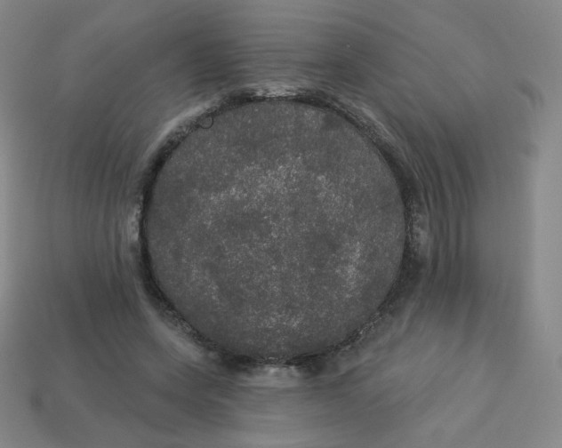 X0000113550543200910091306