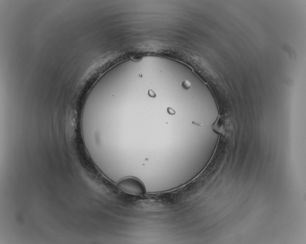 X0000113550544200910091306