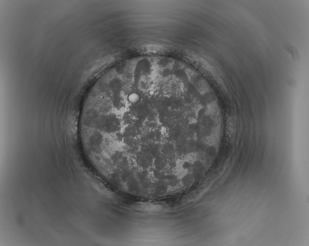 X0000113550545200910091306