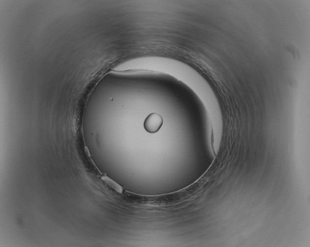 X0000113550546200910091306