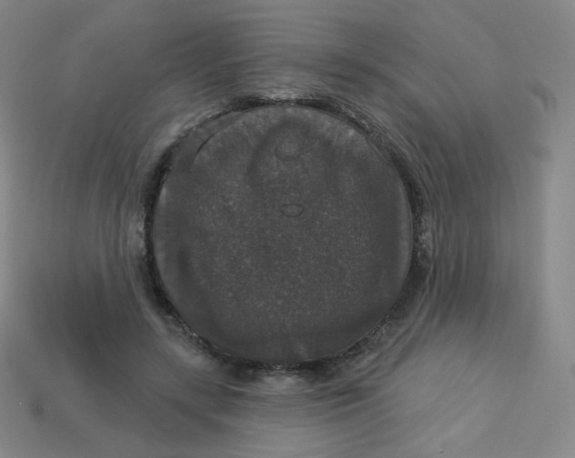 X0000113550547200910091306