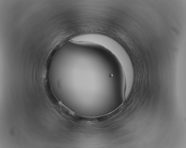 X0000113550548200910091306