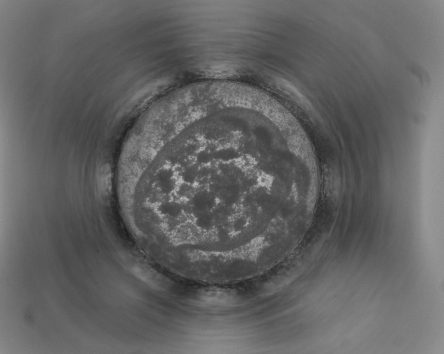 X0000113550549200910091306