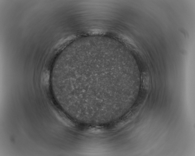 X0000113550550200910091306