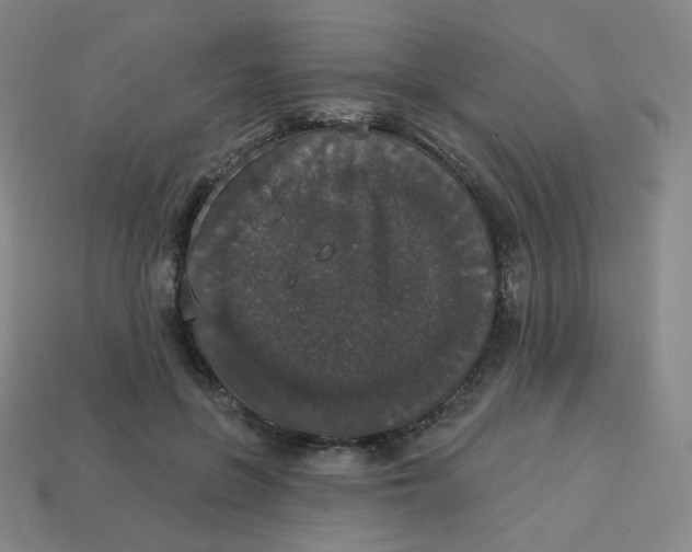 X0000113550551200910091306