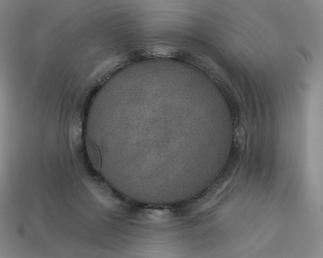 X0000113550552200910091306