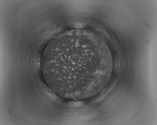 X0000113550553200910091306