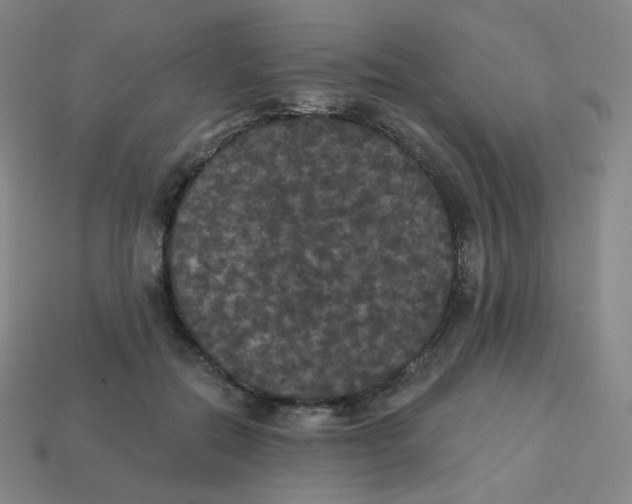 X0000113550554200910091306