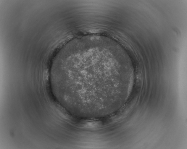 X0000113550555200910091306