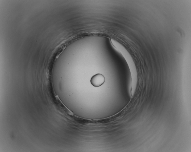 X0000113550556200910091306