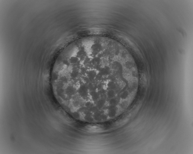 X0000113550557200910091306