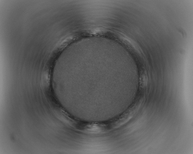 X0000113550558200910091306