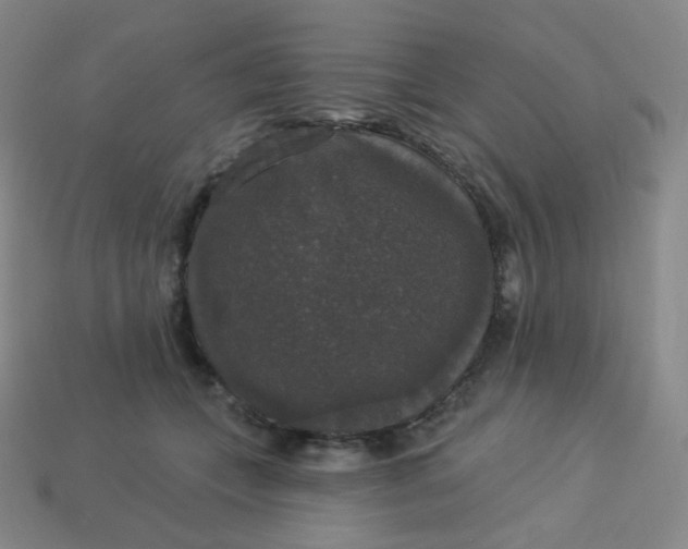 X0000113550559200910091306