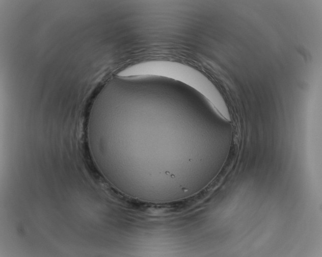 X0000113550560200910091306