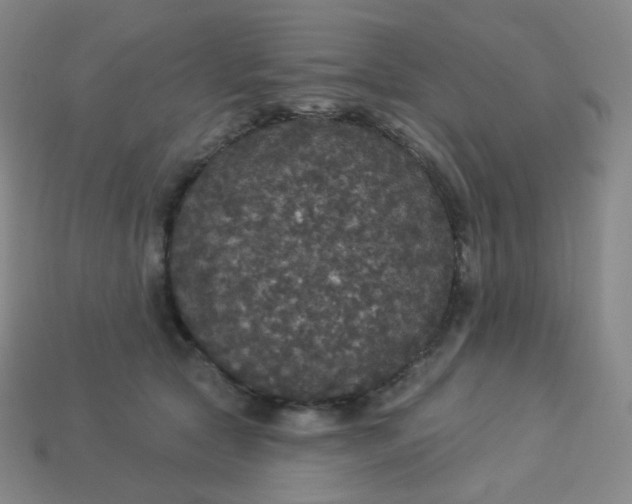 X0000113550561200910091306