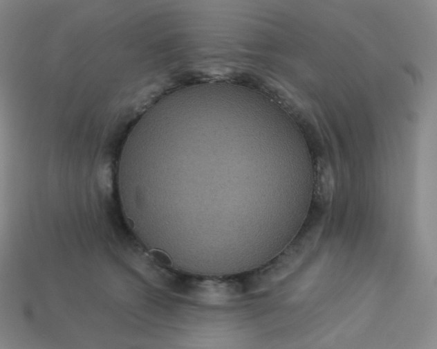 X0000113550562200910091306