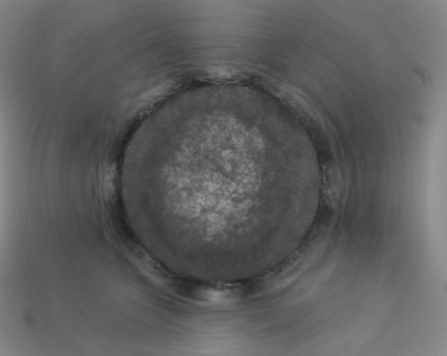 X0000113550563200910091306