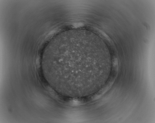 X0000113550565200910091306