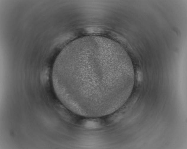 X0000113550567200910091306