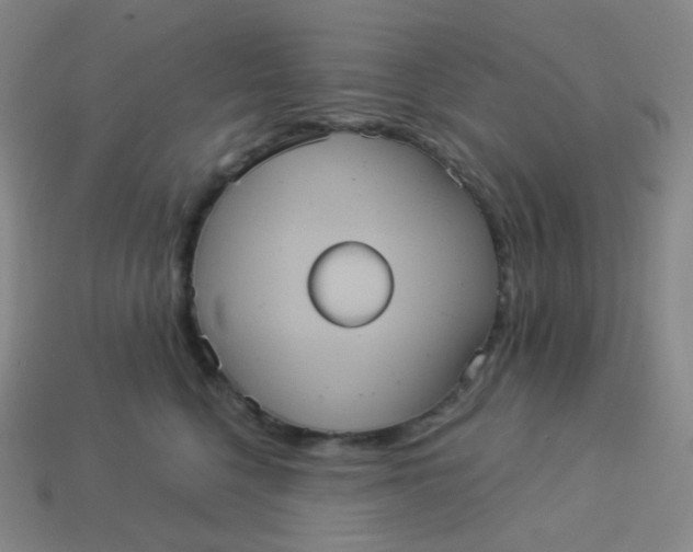 X0000113550568200910091306