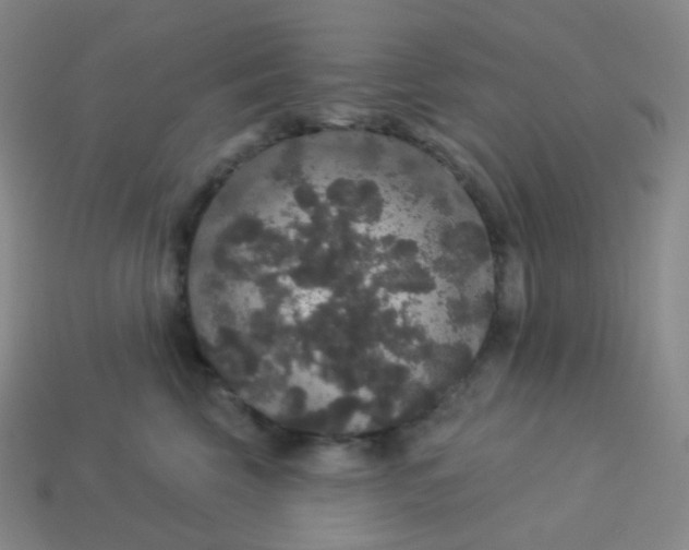 X0000113550569200910091306