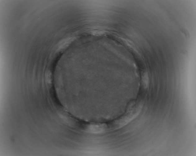 X0000113550571200910091306