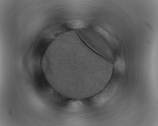 X0000113550572200910091306