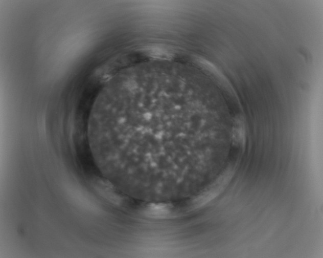 X0000113550573200910091306