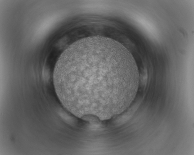 X0000113550574200910091306