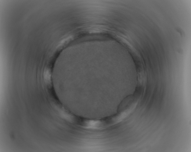 X0000113550575200910091306