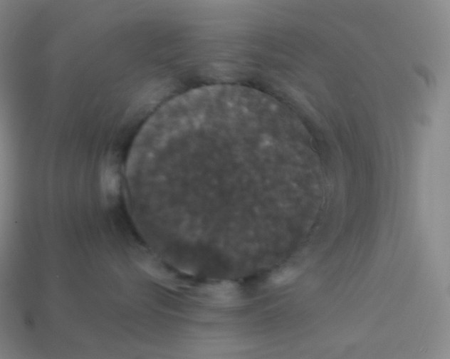 X0000113550576200910091306