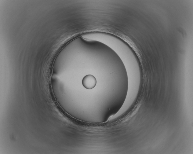 X0000113550577200910091306