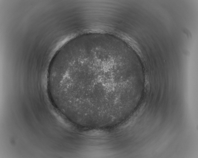 X0000113550578200910091306