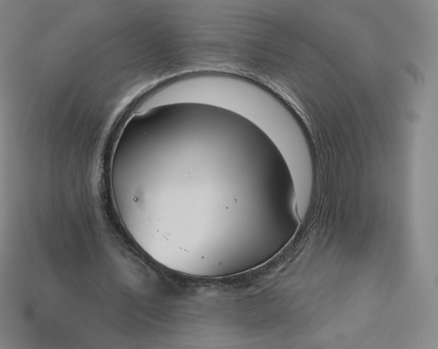 X0000113550579200910091306